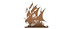 Pirate Bay
