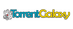 TorrentGalaxy One